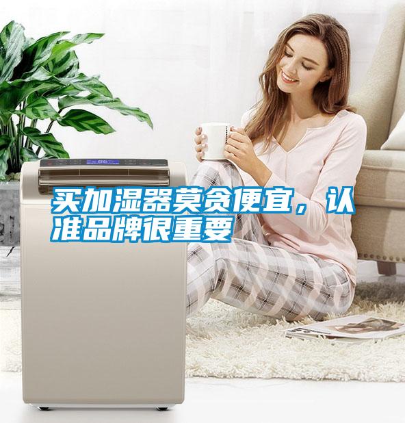 買加濕器莫貪便宜，認準品牌很重要