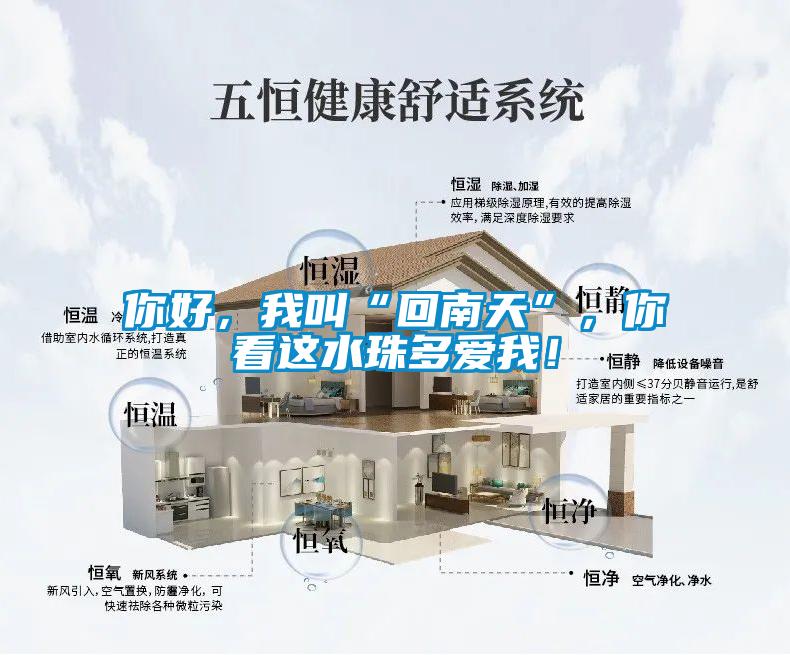 你好，我叫“回南天”，你看這水珠多愛(ài)我！
