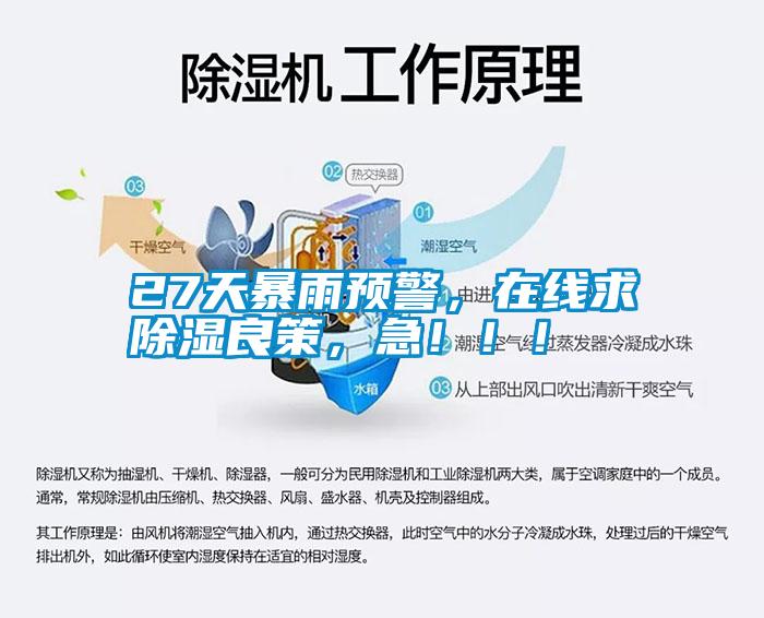 27天暴雨預警，在線求除濕良策，急?。?！
