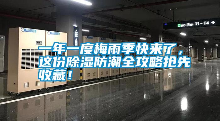 一年一度梅雨季快來了，這份除濕防潮全攻略搶先收藏！