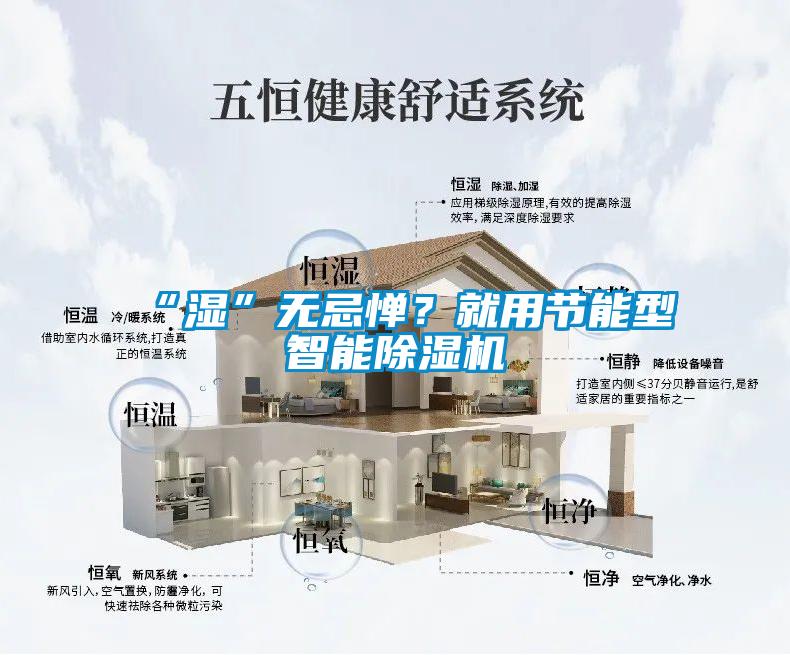 “濕”無忌憚？就用節能型智能除濕機