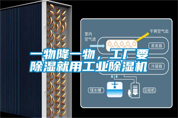 一物降一物，工廠要除濕就用工業除濕機