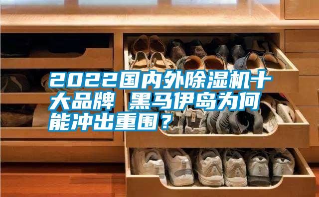 2022國(guó)內(nèi)外除濕機(jī)十大品牌 黑馬伊島為何能沖出重圍？