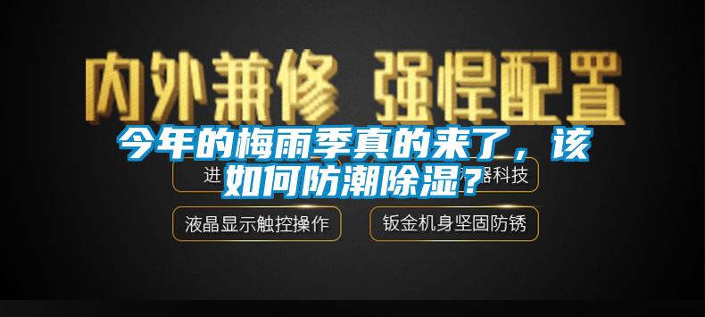 今年的梅雨季真的來了，該如何防潮除濕？