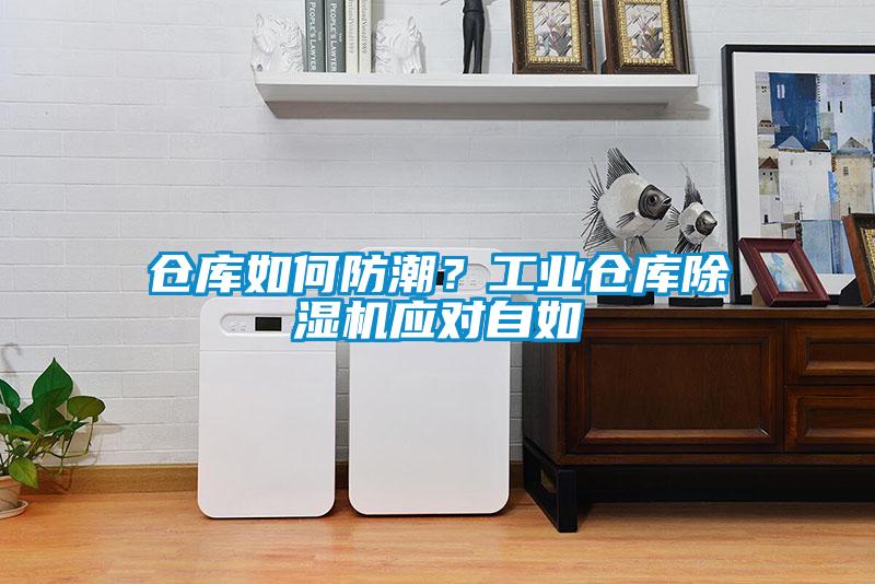 倉庫如何防潮？工業(yè)倉庫除濕機應(yīng)對自如