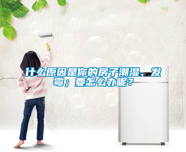 什么原因是你的房子潮濕、發(fā)霉；要怎么辦呢？