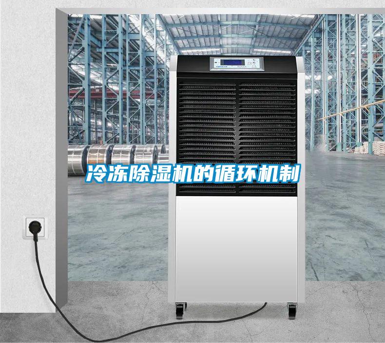 冷凍除濕機的循環機制