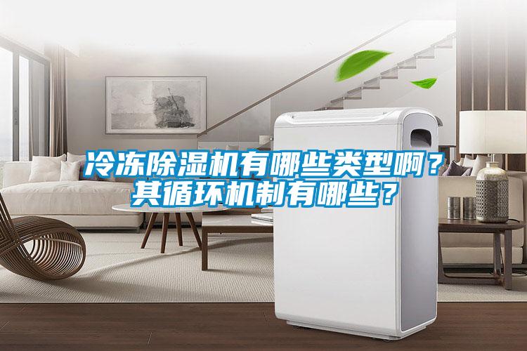 冷凍除濕機有哪些類型啊？其循環機制有哪些？