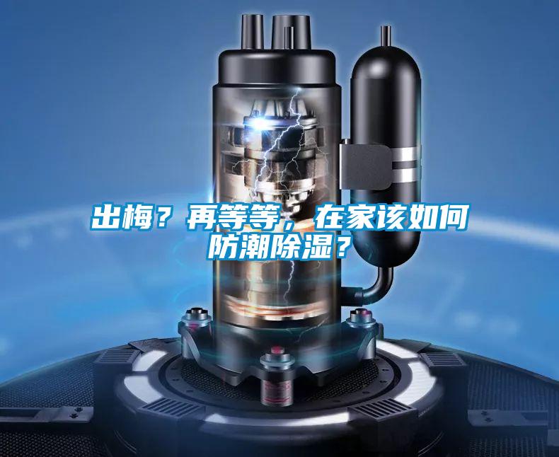 出梅？再等等，在家該如何防潮除濕？