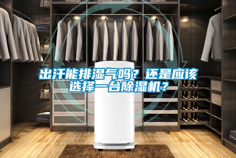 出汗能排濕氣嗎？還是應(yīng)該選擇一臺除濕機(jī)？