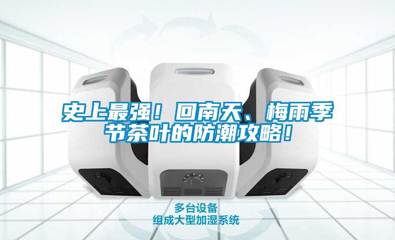 史上最強(qiáng)！回南天、梅雨季節(jié)茶葉的防潮攻略！