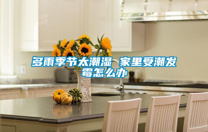 多雨季節太潮濕 家里受潮發霉怎么辦