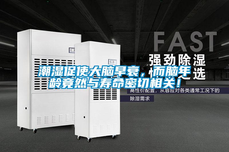 潮濕促使大腦早衰，而腦年齡竟然與壽命密切相關(guān)！