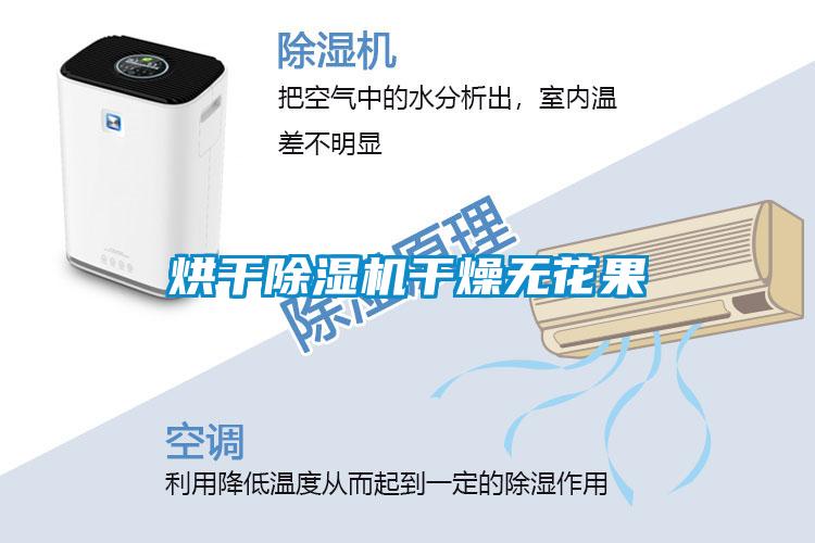 烘干除濕機(jī)干燥無(wú)花果