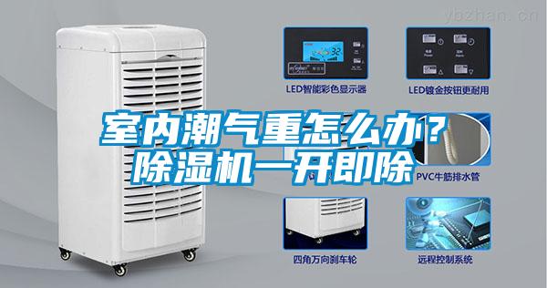 室內潮氣重怎么辦？除濕機一開即除