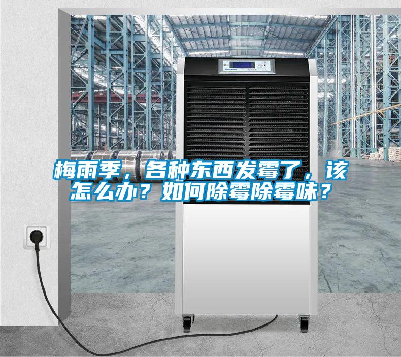 梅雨季，各種東西發霉了，該怎么辦？如何除霉除霉味？