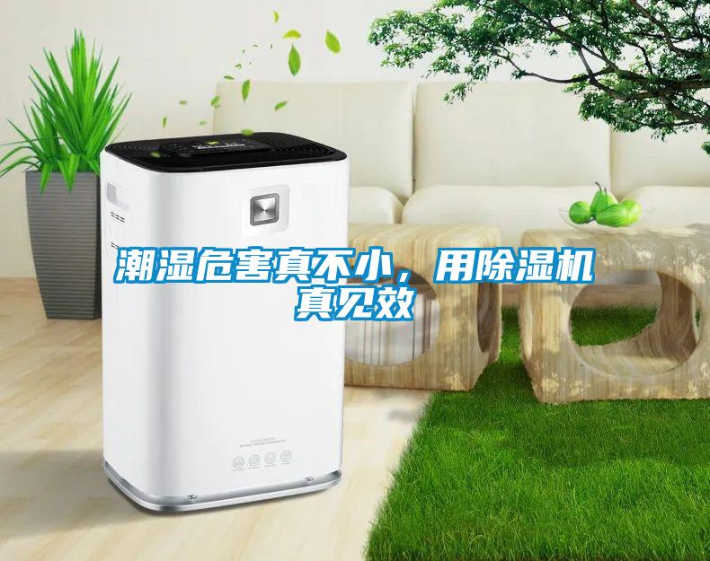 潮濕危害真不小，用除濕機真見效