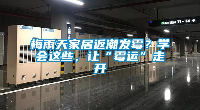 梅雨天家居返潮發(fā)霉？學(xué)會這些，讓“霉運”走開