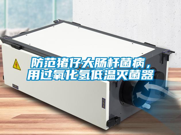 防范豬仔大腸桿菌病，用過(guò)氧化氫低溫滅菌器