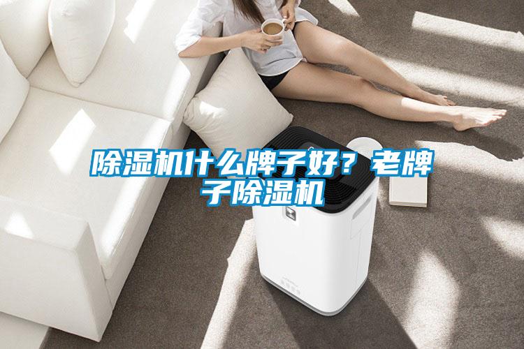 除濕機(jī)什么牌子好？老牌子除濕機(jī)