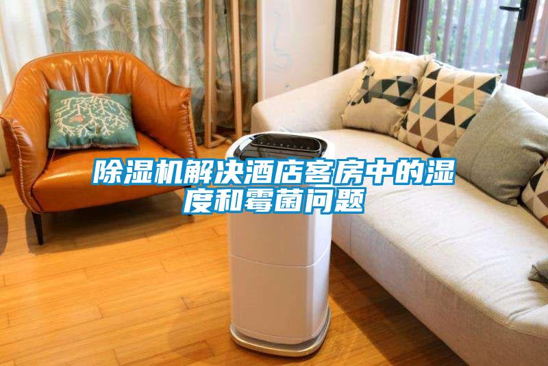 除濕機解決酒店客房中的濕度和霉菌問題