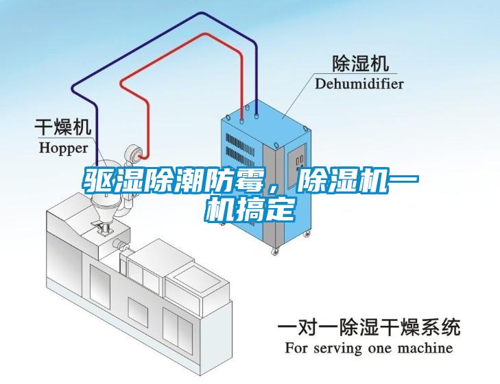 驅濕除潮防霉，除濕機一機搞定