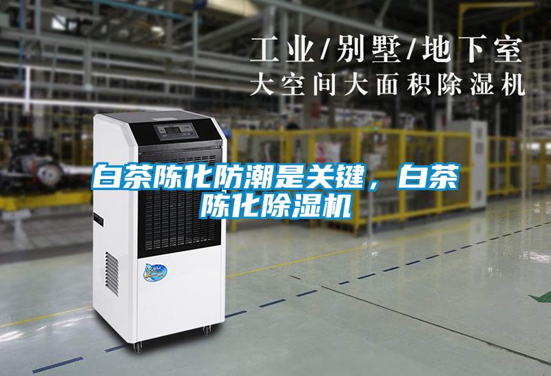 白茶陳化防潮是關鍵，白茶陳化除濕機
