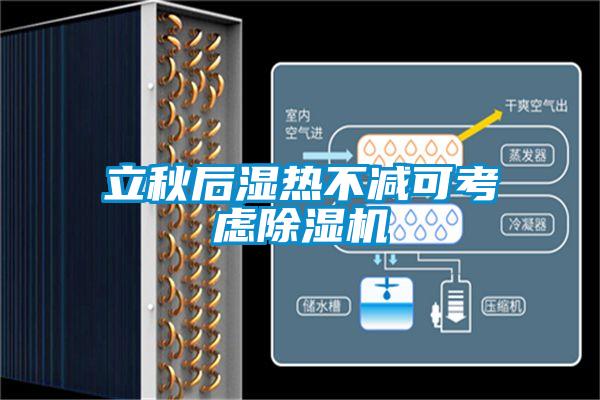 立秋后濕熱不減可考慮除濕機