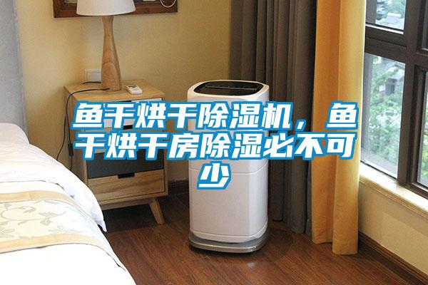 魚干烘干除濕機，魚干烘干房除濕必不可少