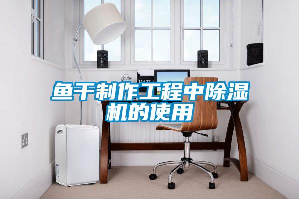 魚干制作工程中除濕機的使用