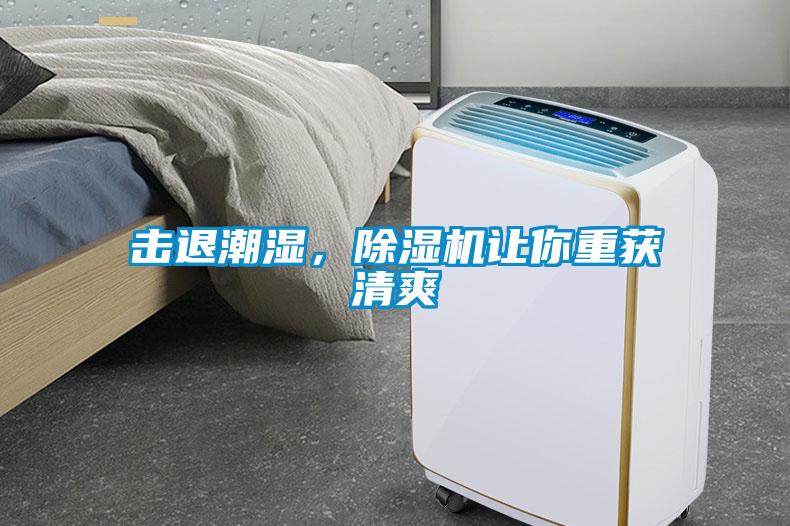 擊退潮濕，除濕機讓你重獲清爽