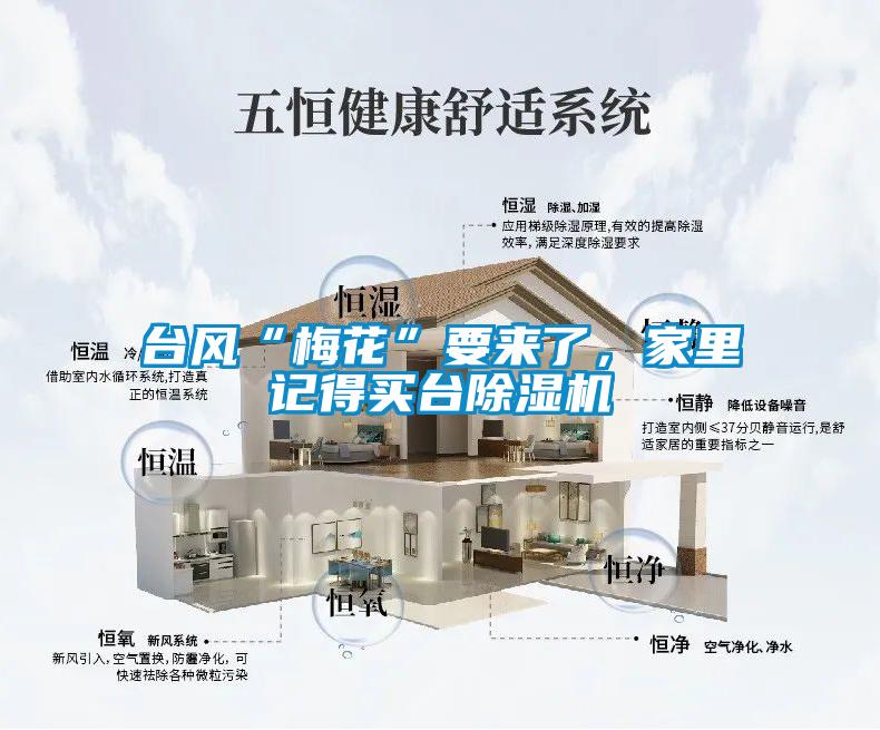 臺風“梅花”要來了，家里記得買臺除濕機