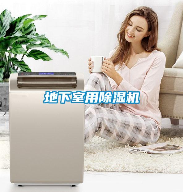 地下室用除濕機