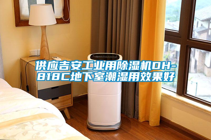 供應吉安工業用除濕機DH-818C地下室潮濕用效果好
