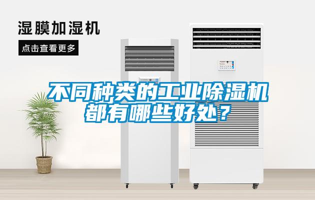 不同種類的工業除濕機都有哪些好處？