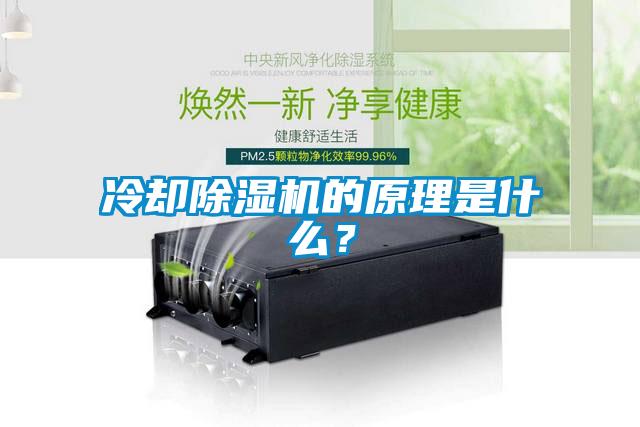 冷卻除濕機的原理是什么？