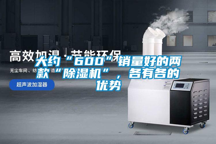 大約“600”銷量好的兩款“除濕機”，各有各的優勢