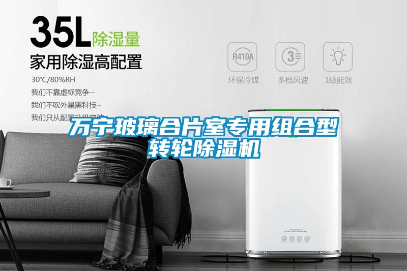 萬(wàn)寧玻璃合片室專用組合型轉(zhuǎn)輪除濕機(jī)