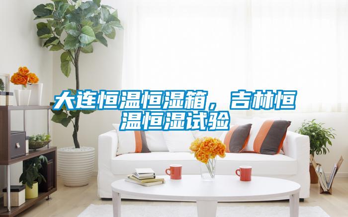 大連恒溫恒濕箱，吉林恒溫恒濕試驗