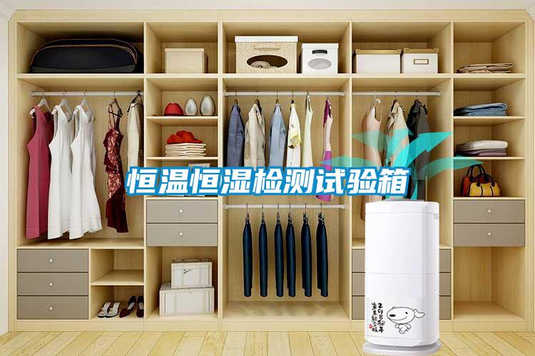 恒溫恒濕檢測(cè)試驗(yàn)箱