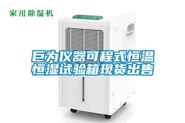 巨為儀器可程式恒溫恒濕試驗箱現(xiàn)貨出售