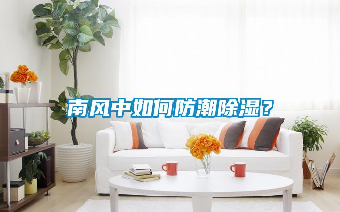 南風(fēng)中如何防潮除濕？