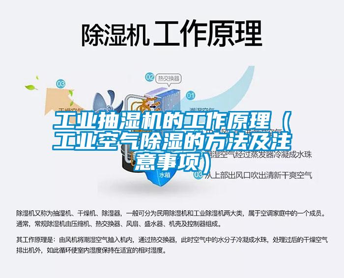 工業(yè)抽濕機的工作原理（工業(yè)空氣除濕的方法及注意事項）