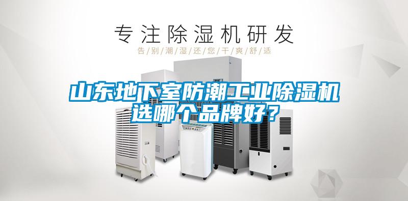 山東地下室防潮工業(yè)除濕機選哪個品牌好？