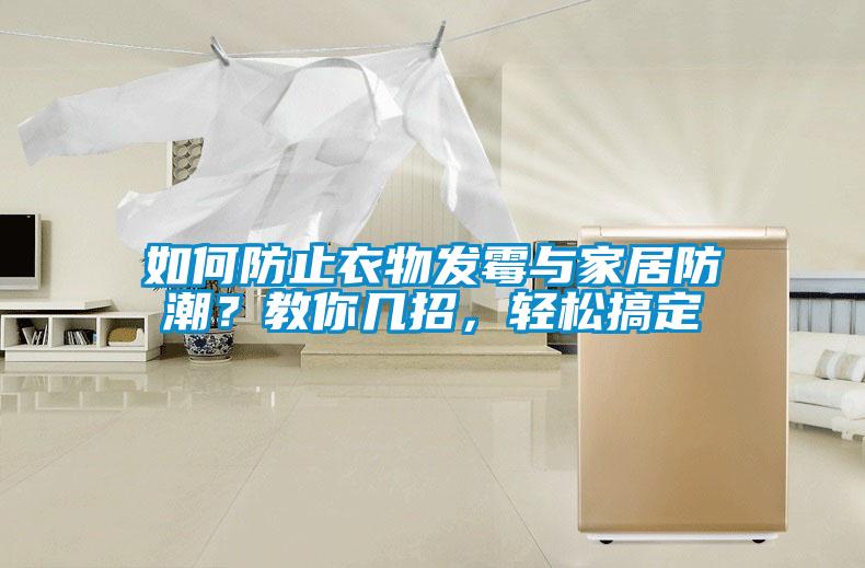 如何防止衣物發(fā)霉與家居防潮？教你幾招，輕松搞定