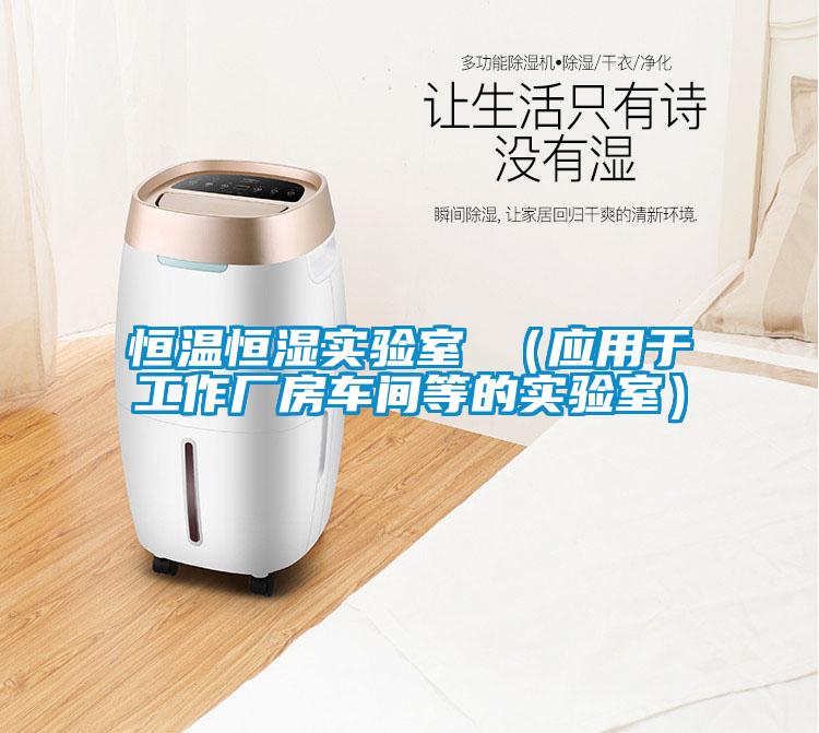 恒溫恒濕實(shí)驗室 （應(yīng)用于工作廠房車間等的實(shí)驗室）