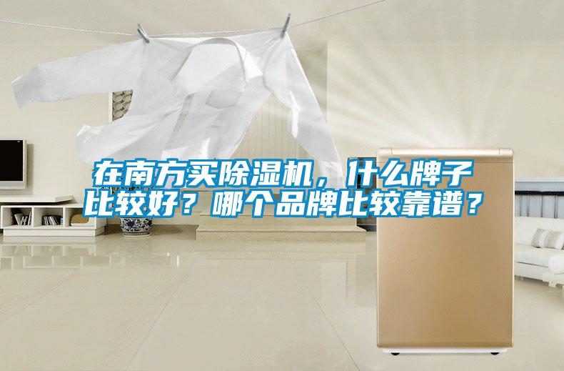 在南方買除濕機，什么牌子比較好？哪個品牌比較靠譜？