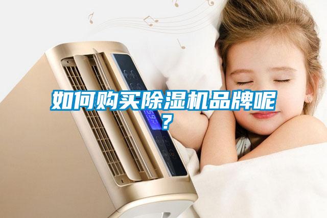 如何購買除濕機品牌呢？