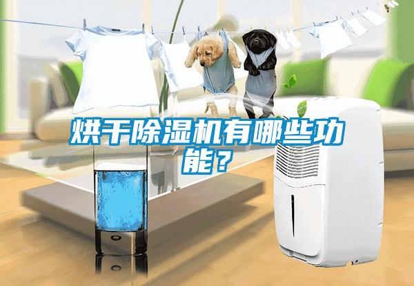 烘干除濕機有哪些功能？
