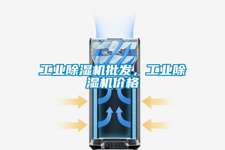 工業(yè)除濕機(jī)批發(fā)，工業(yè)除濕機(jī)價(jià)格